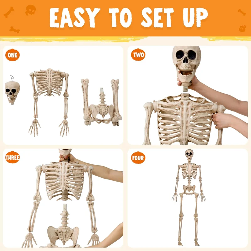 JOYIN 5 FT Posable Skeleton - Life Size Halloween Decoration