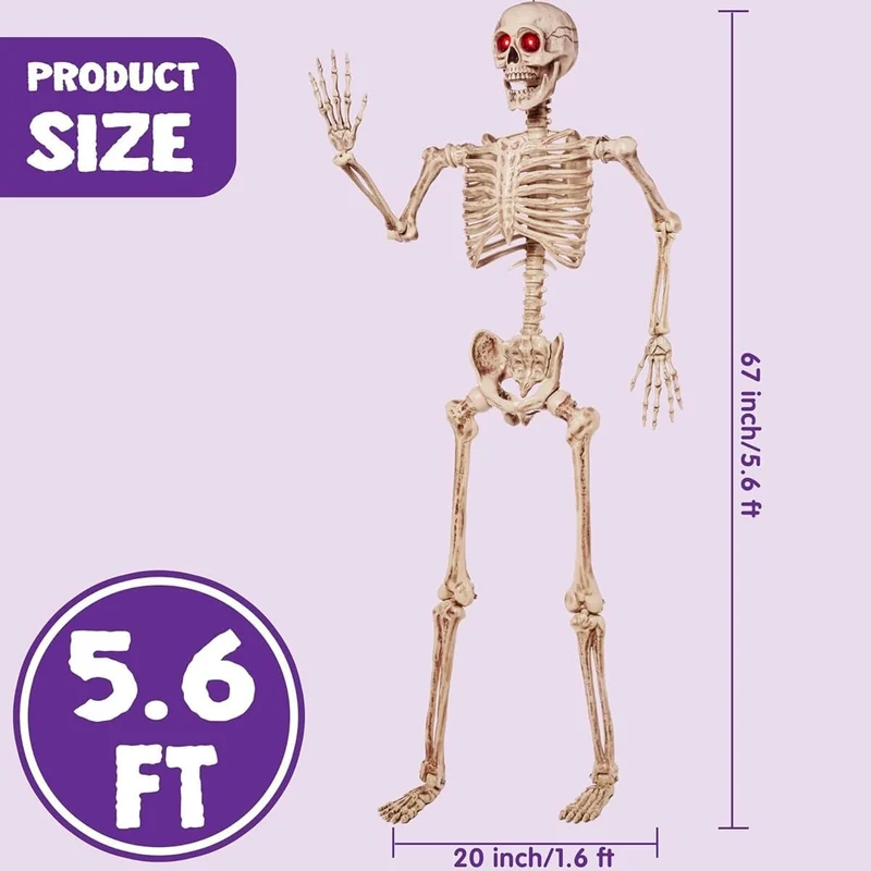 JOYIN 5.6 ft Halloween Life-Size Posable Skeleton with LED Glowing Eyes