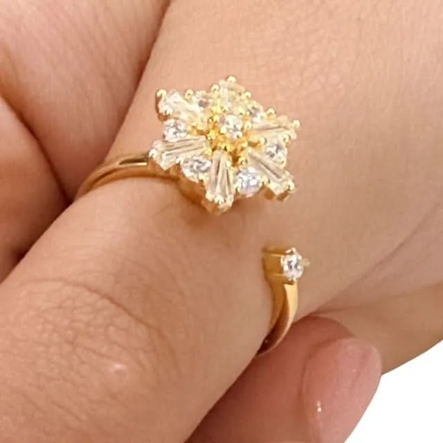 Auri Fidget Ring