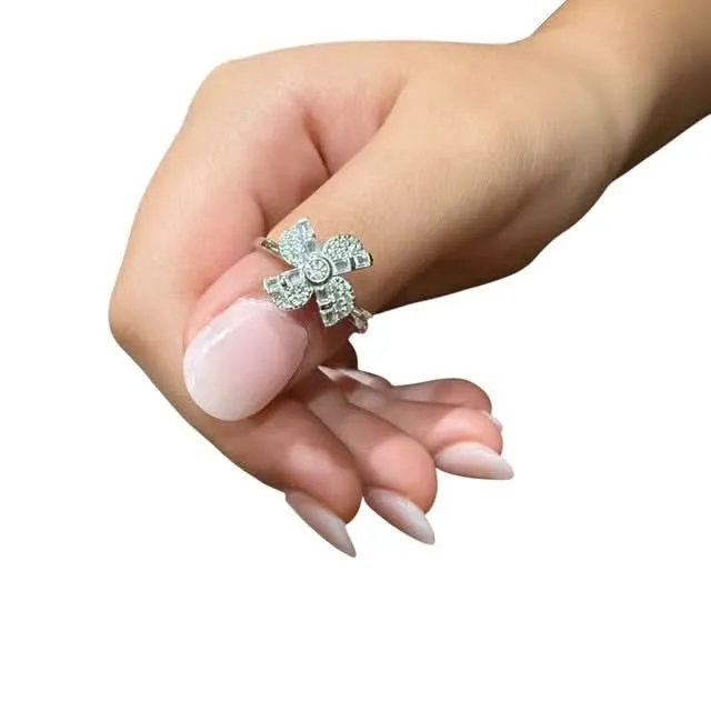 Aster Fidget Ring