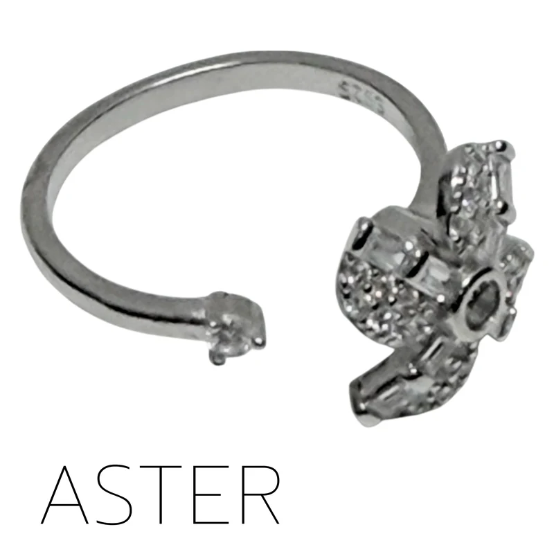 Aster Fidget Ring