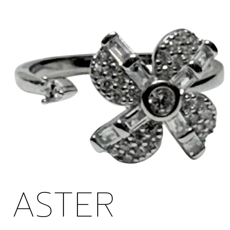 Aster Fidget Ring