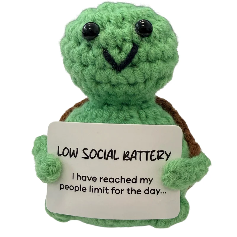 Low Social Battery Turtle