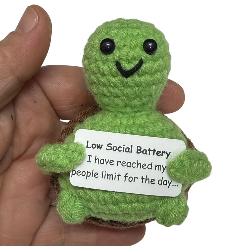 Low Social Battery Turtle