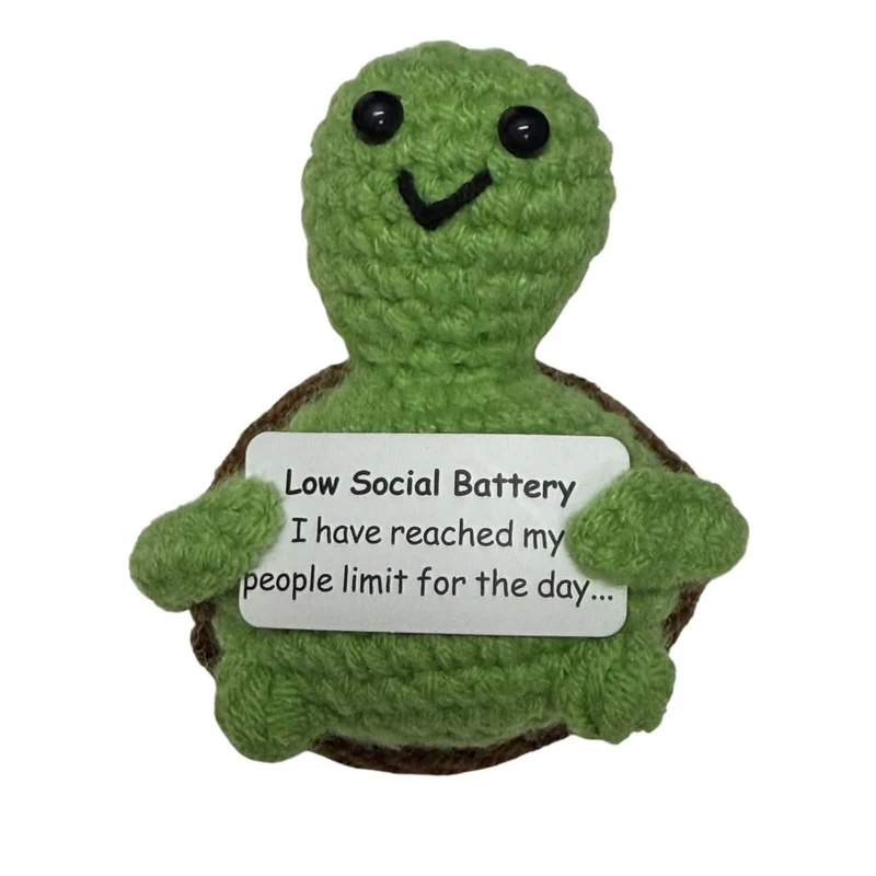 Low Social Battery Turtle