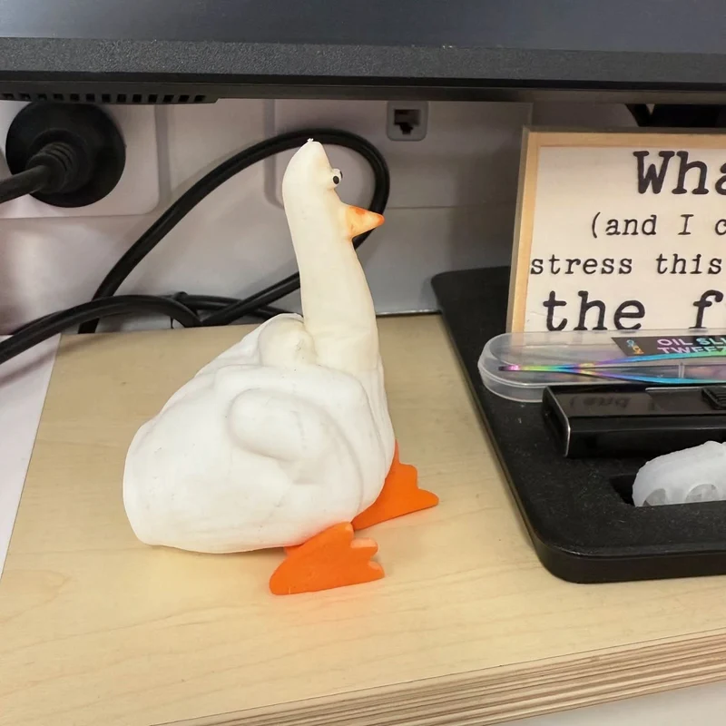 Duck You! Hilarious Squishy