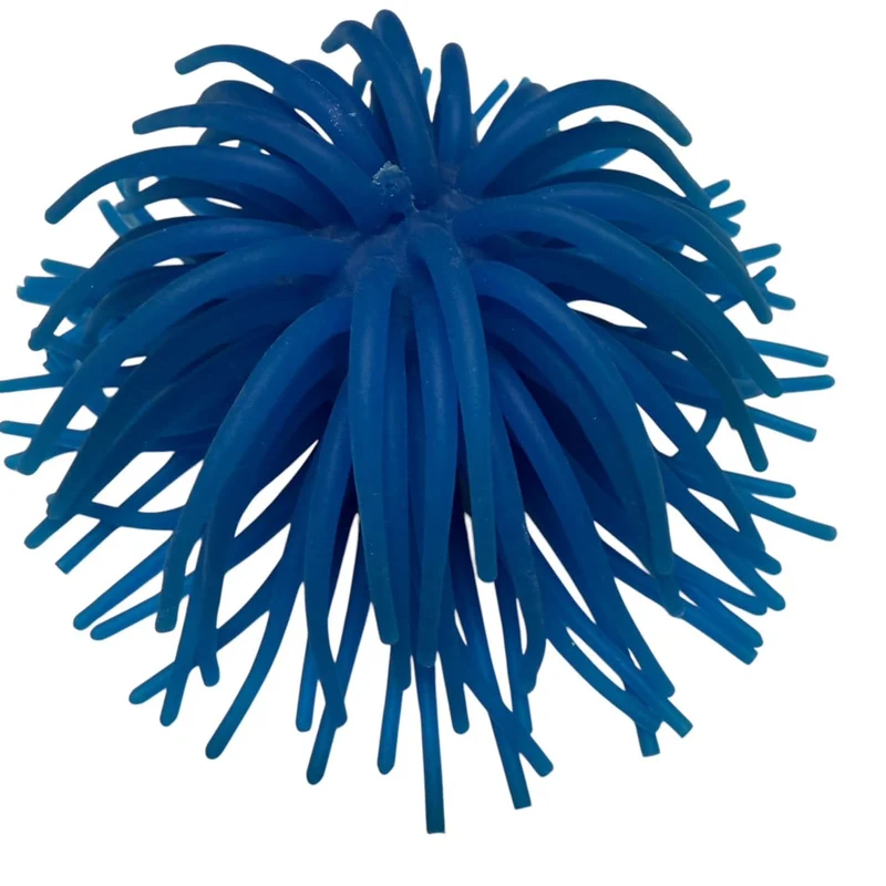 Vibrant Tickle On Top