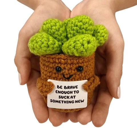 Be Brave Succulent