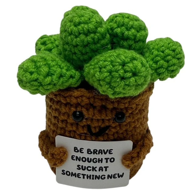 Be Brave Succulent