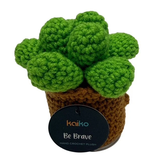 Be Brave Succulent