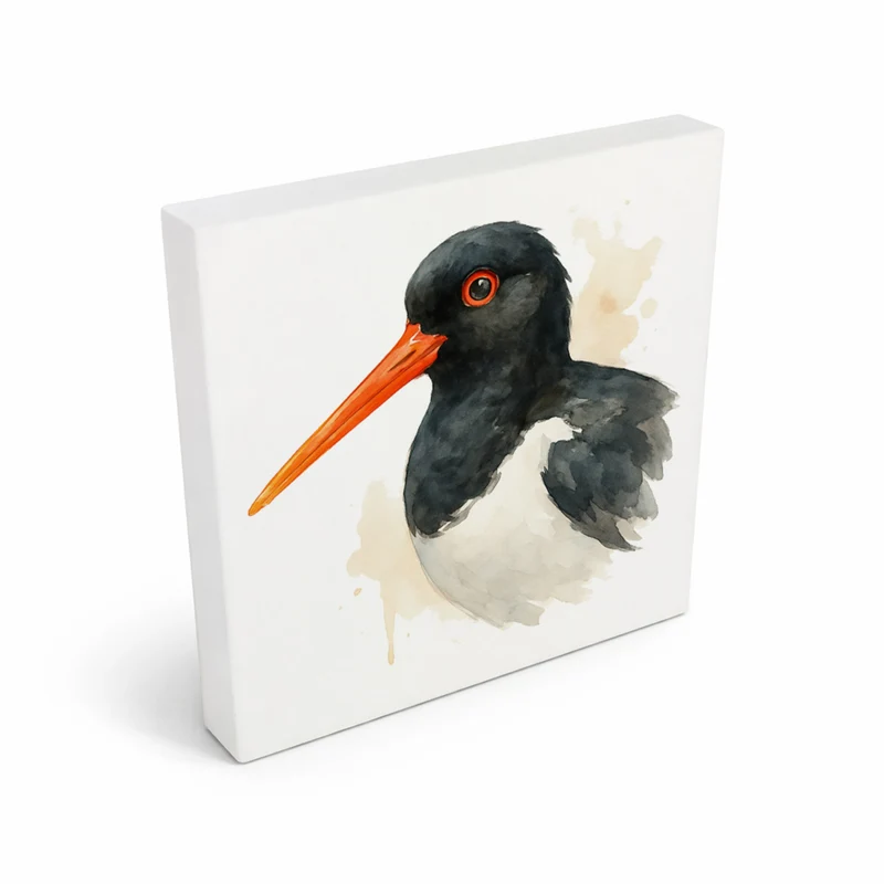 Vogelparade Austernfischer Aquarell Holzbild in 10x10 cm zum Stellen oder Aufhängen