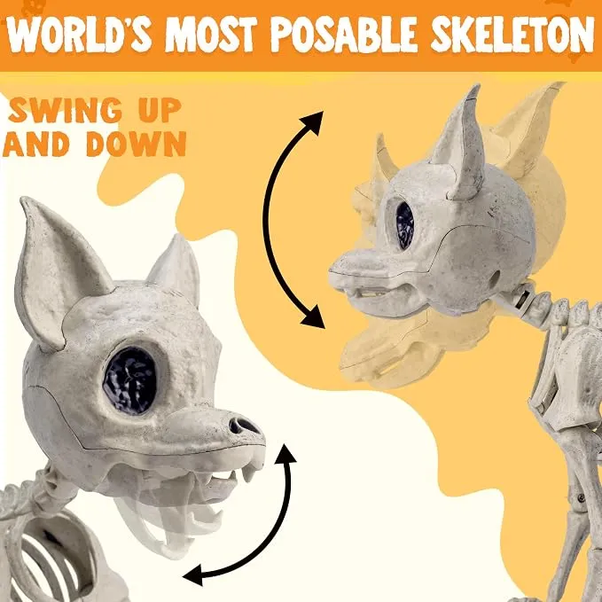 JOYIN Chihuahua Dog Skeleton - 12.6" Posable Halloween Decoration