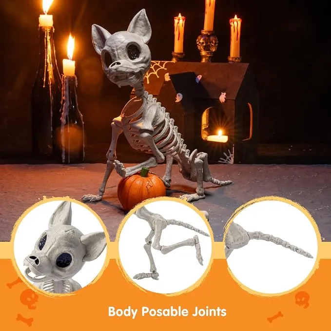 JOYIN Chihuahua Dog Skeleton - 12.6" Posable Halloween Decoration