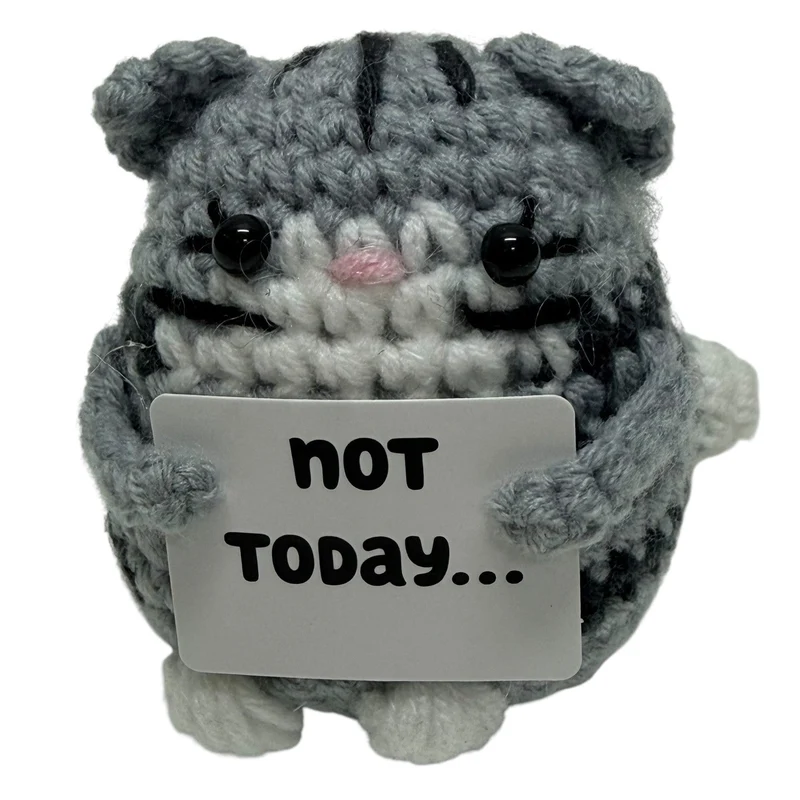 Not Today... Cat