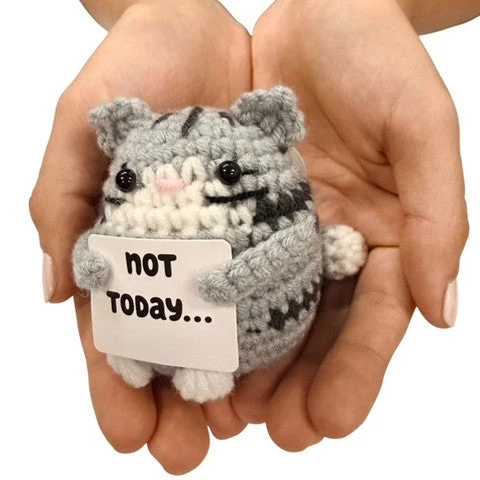 Not Today... Cat