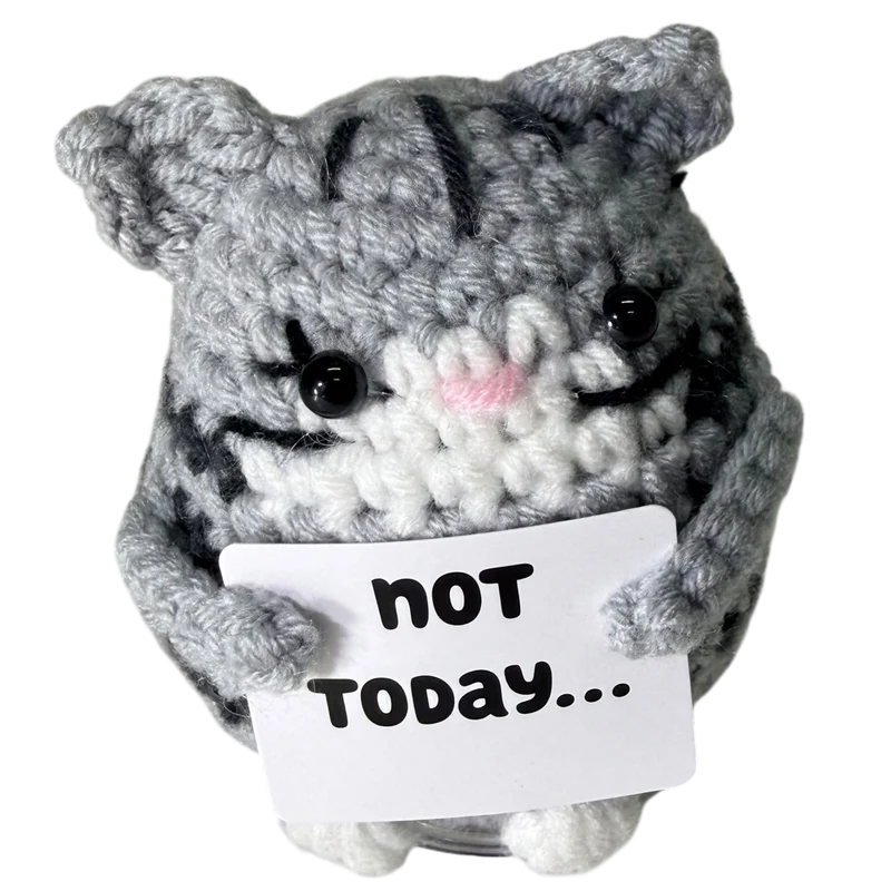 Not Today... Cat