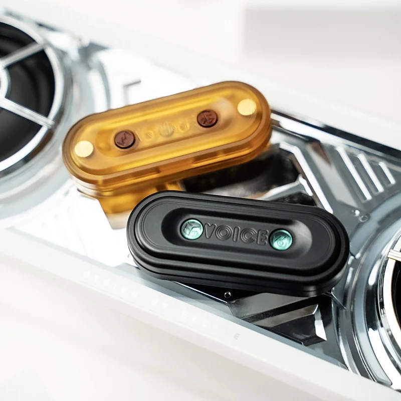 VOICE