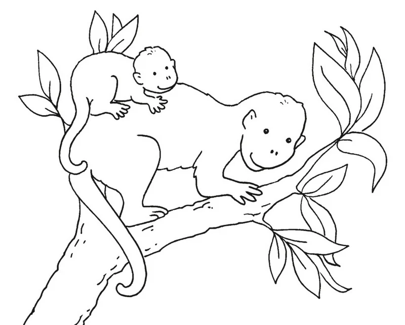 Mein erstes dickes Malbuch - Bunte Tierwelt