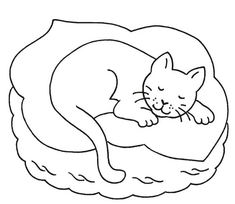 Mein erstes dickes Malbuch - Bunte Tierwelt