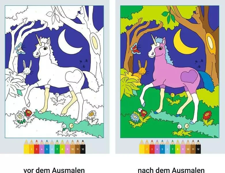 Malen nach Zahlen - CreArt - Elfen und Feen im Zauberwald