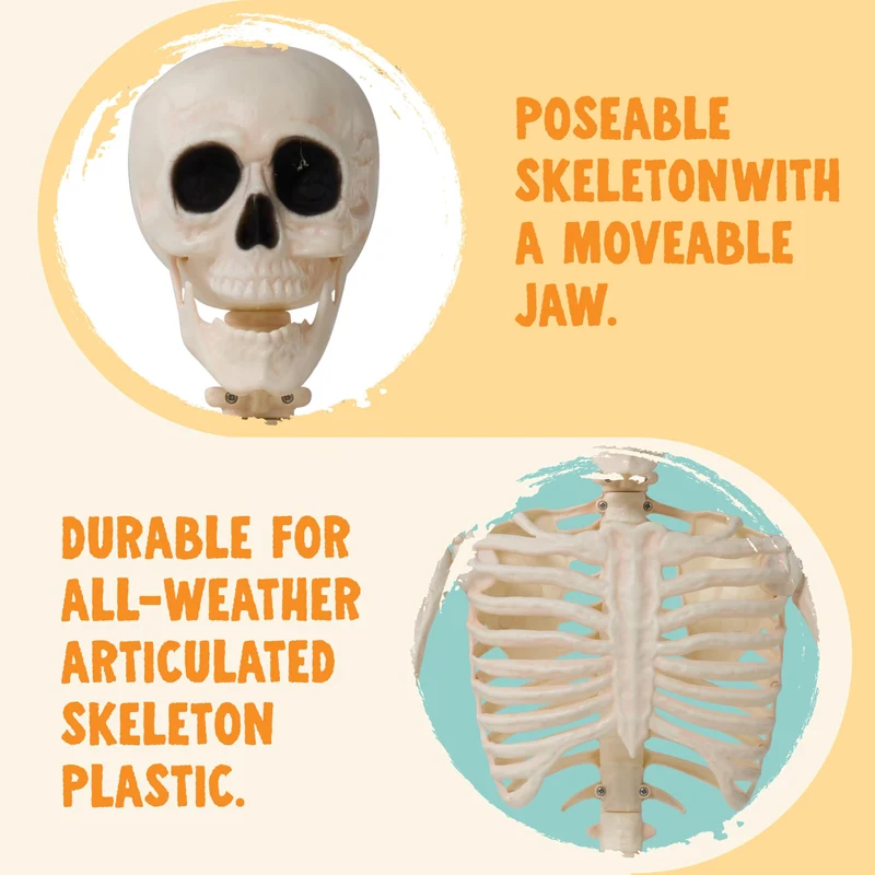 36" Halloween Skeleton Decor