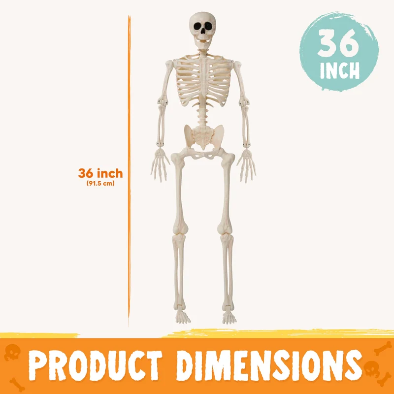 36" Halloween Skeleton Decor