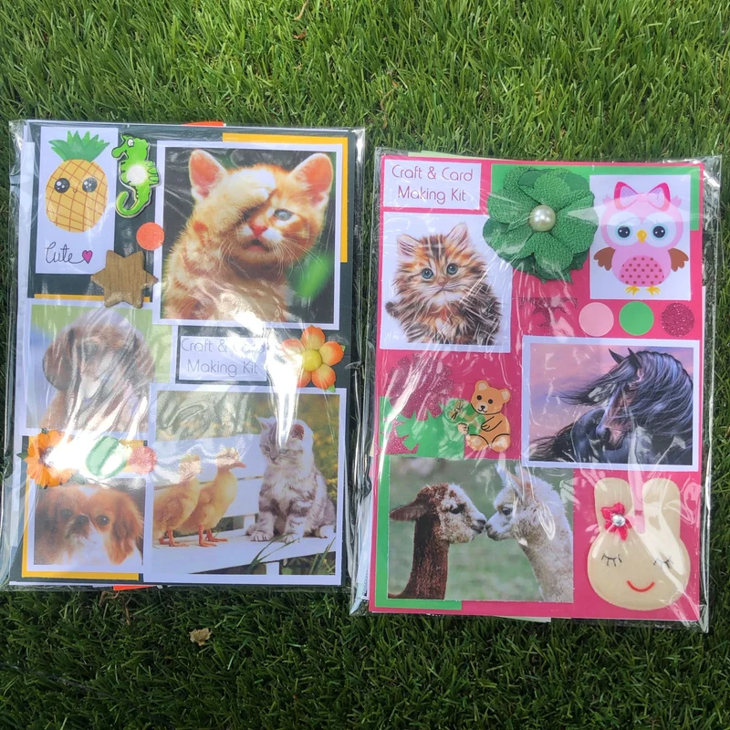 Card Making & Craft Kits