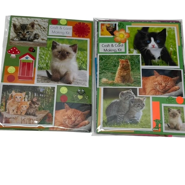 Card Making & Craft Kits