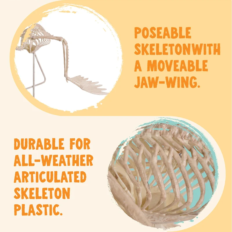 27.6 Inch Flamingo Skeleton Halloween Decorations
