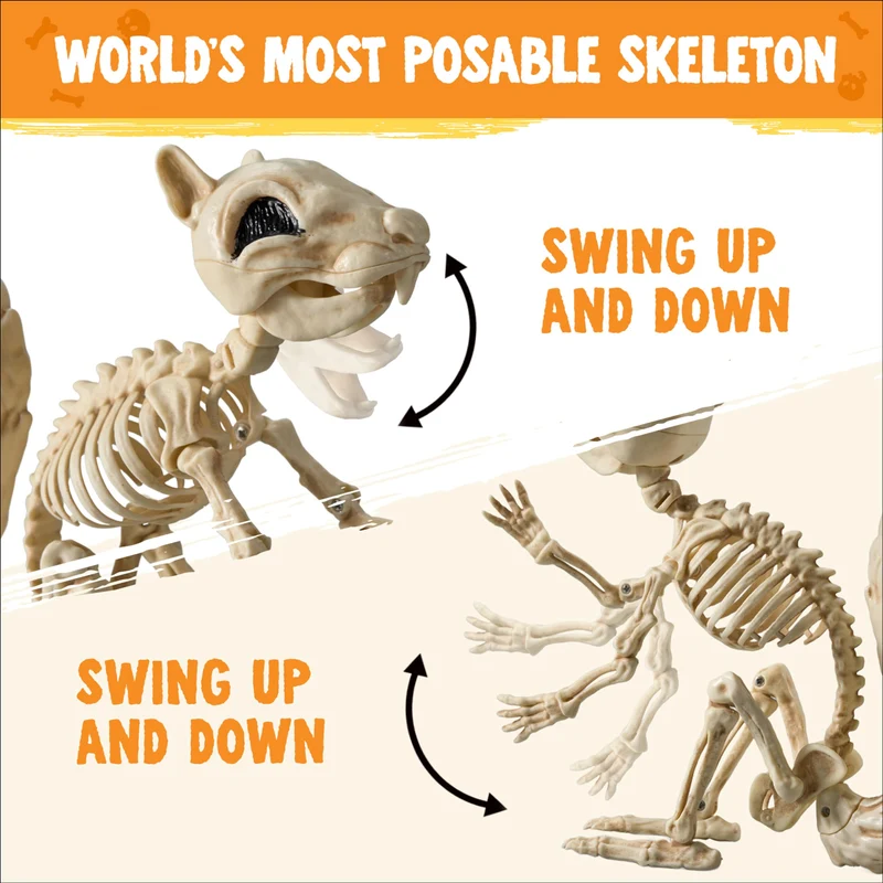 9.1 Inch Squirrel Skeleton Halloween Decoration