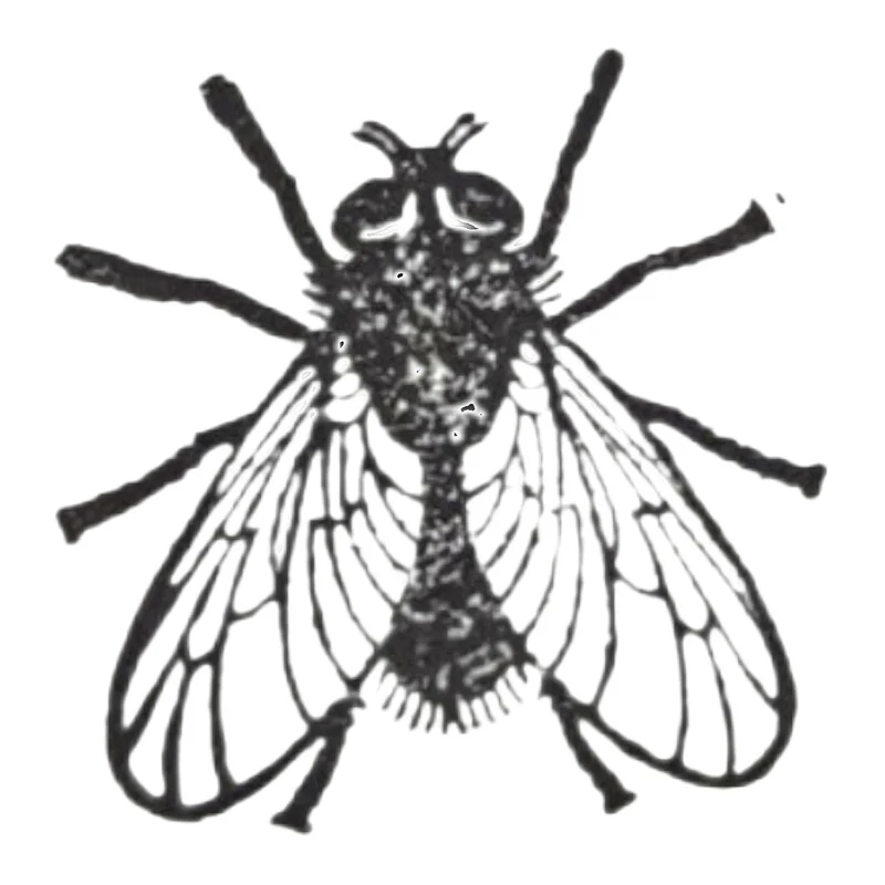 Fliege Holzstempel