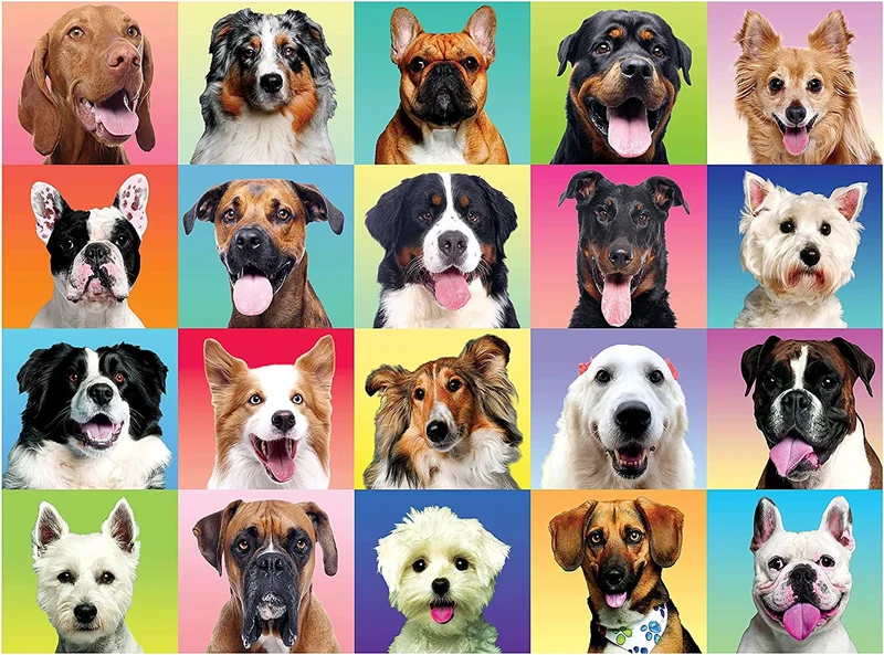 Multicolor Dogs Puzzles, 300 Pcs