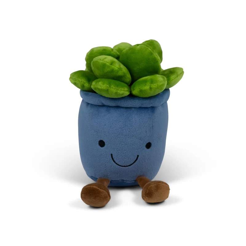 Kawaii Sukkulente Animigos Funky Friends Kuscheltier in zufälliger Variante