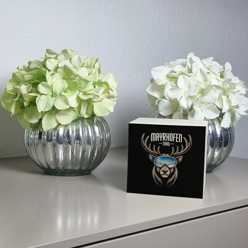 MAYRHOFEN Tirol Spardose mit coolem Hirsch
