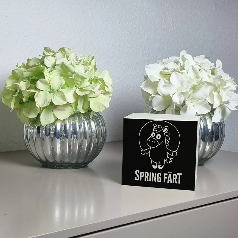 Spring Färt Spardose Pferd mt Springseil Cartoon