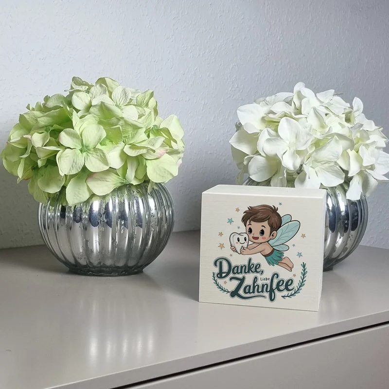 Zahnfee Spardose Danke, liebe Zahnfee für Jungs
