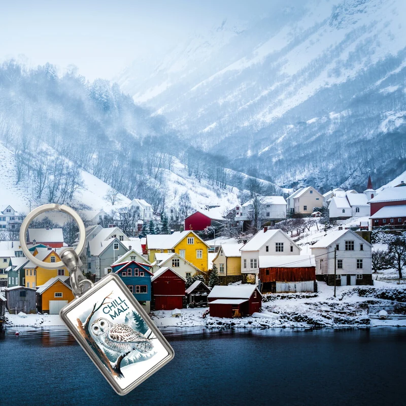 Chill mal Schlüsselanhänger Schneeeule auf Ast
