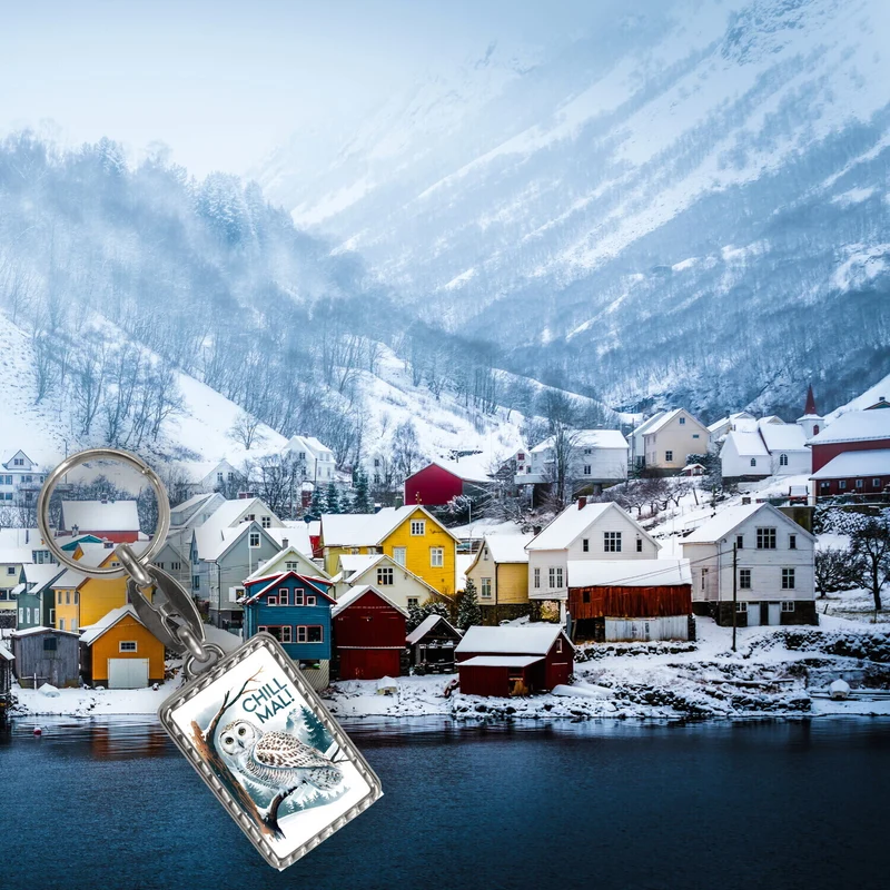 Chill mal Schlüsselanhänger Schneeeule auf Ast