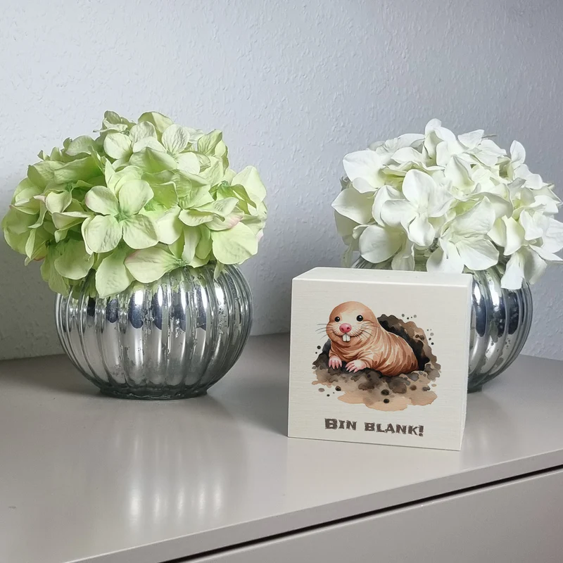 Nacktmull Spardose mit Spruch Bin blank!