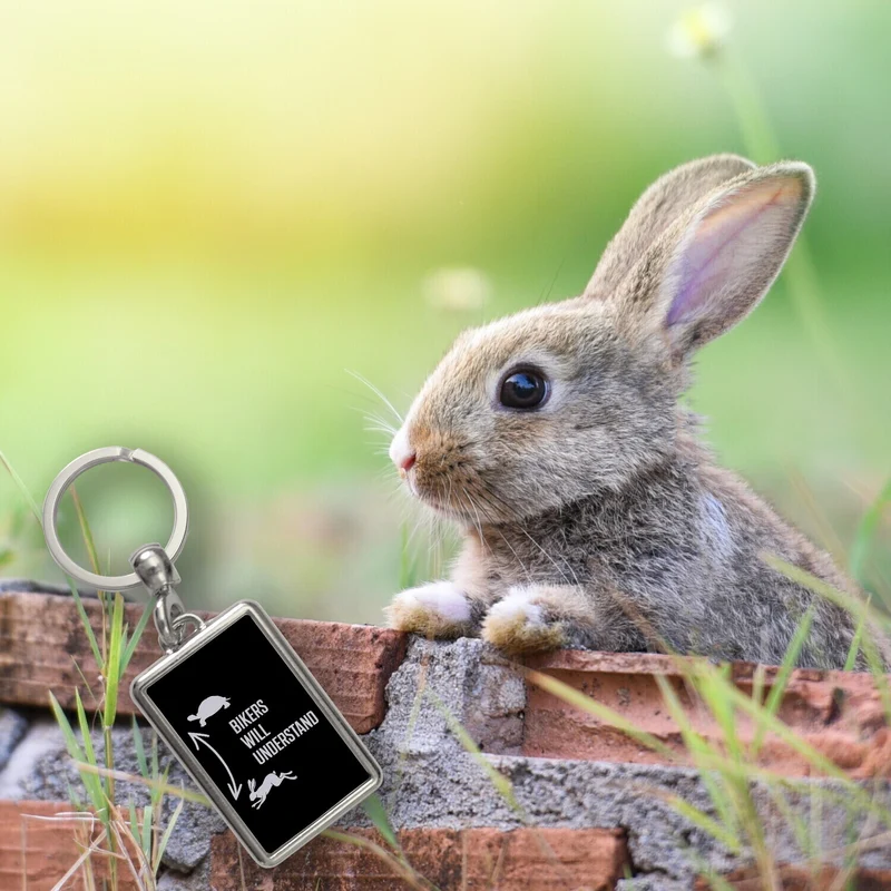 Bikers will understand Schlüsselanhänger mit Hase und Schildkröte für Motorradfahrer