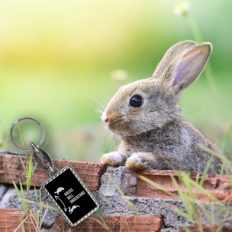 Bikers will understand Schlüsselanhänger mit Hase und Schildkröte für Motorradfahrer