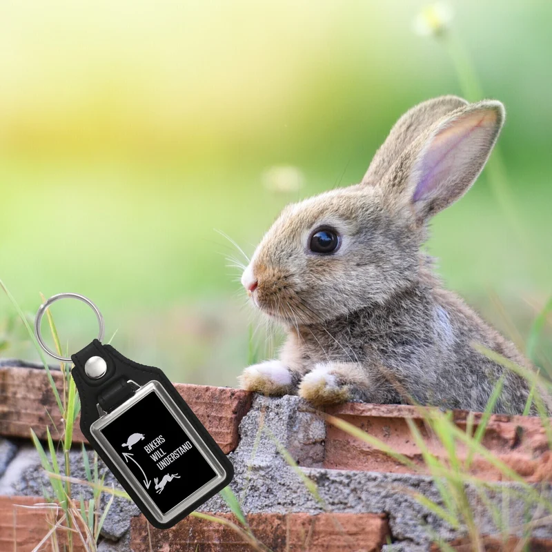 Bikers will understand Schlüsselanhänger mit Hase und Schildkröte für Motorradfahrer