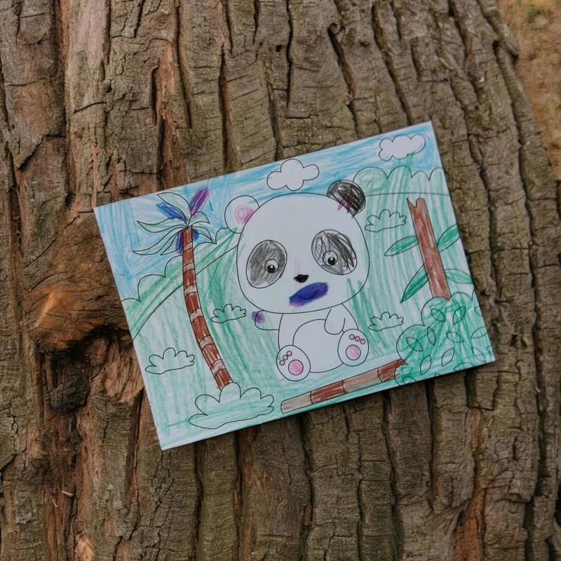 Wilde Tiere Postkarten Malbuch Tierwelt Malheft mit 20 Seiten