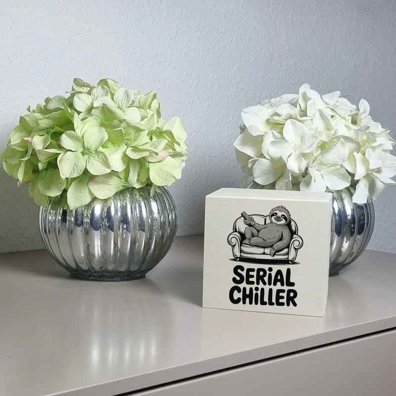 Faultier auf Couch Serial Chiller Spardose