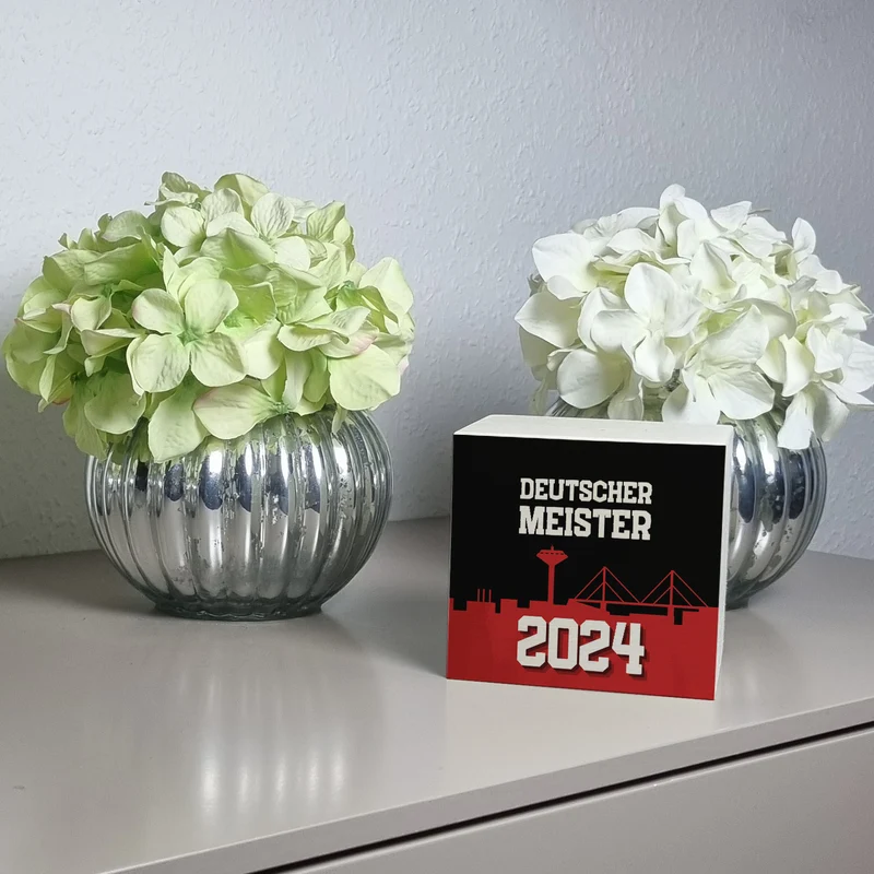 Leverkusen Spardose mit Spruch Deutscher Meister 2024