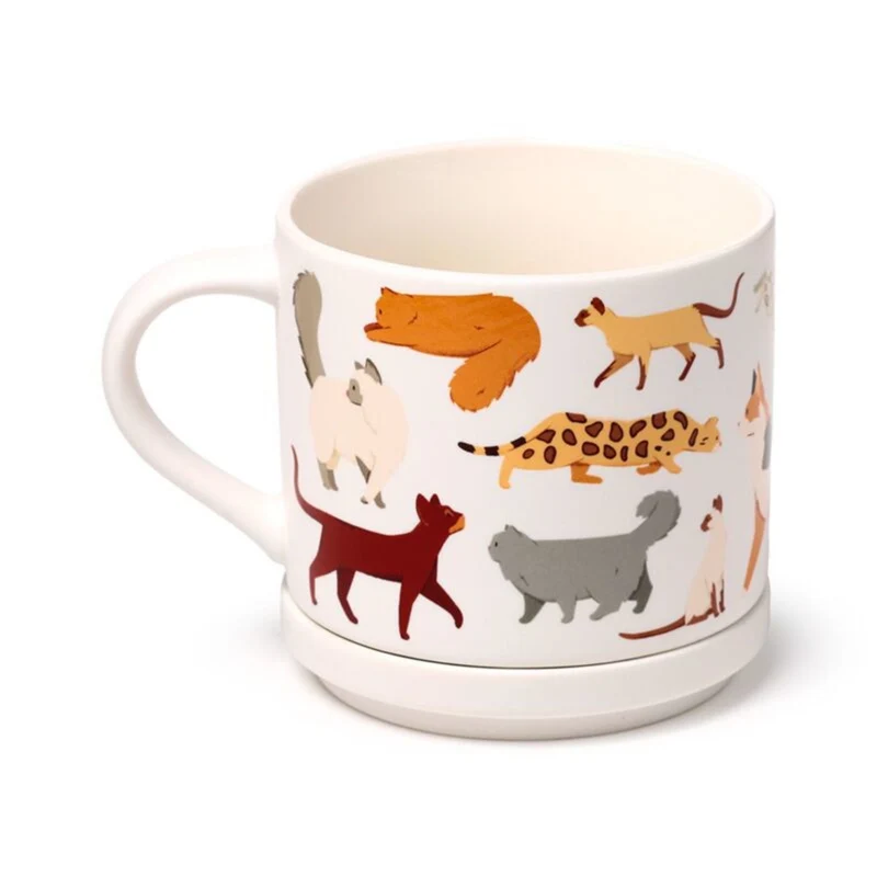 Feline Fine Katzen Kaffeebecher & Untersetzer Set