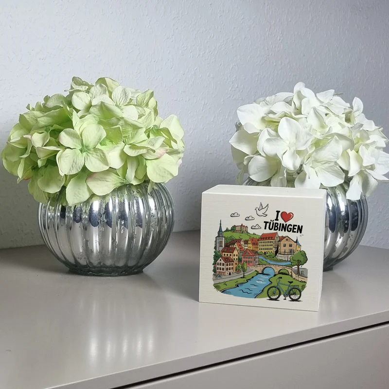 I love Tübingen Spardose mit Sehenswürdigkeiten