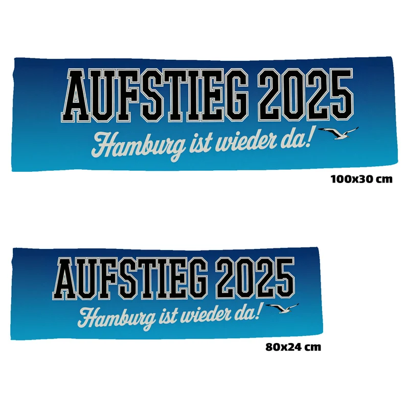 Aufstieg 2025 Eishandtuch Hamburg ist wieder da!