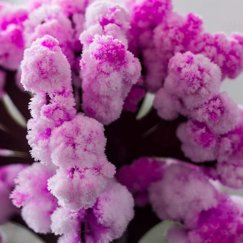 Magic Sakura Dekoartikel Kirschblüten Baum Deko Japan Dekoobjekt