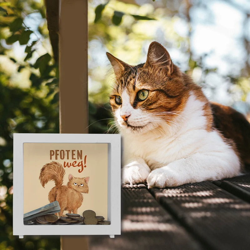Katze Spardose mit Spruch Pfoten weg